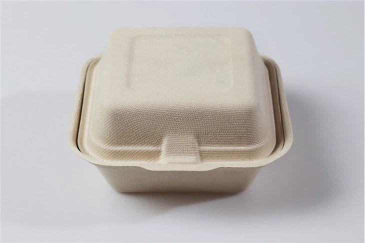 Molded Pulp Clamshell Box Environment Friendly